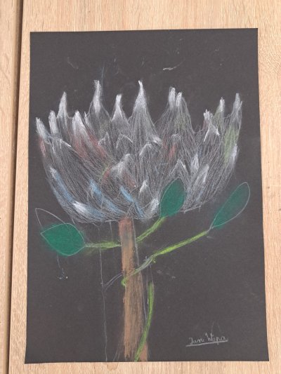 Zajęcia plastyczne 21.11.23